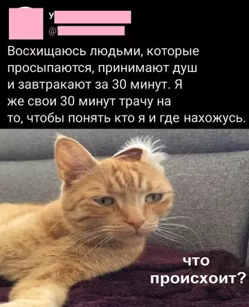 Смешная картинка №774125