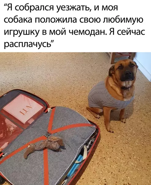 Смешная картинка №501840