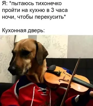 Смешная картинка №754774