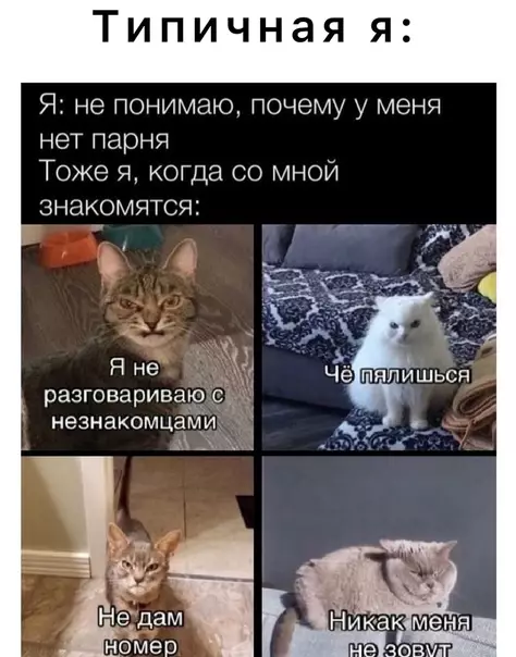 Смешная картинка №578244 Девушки