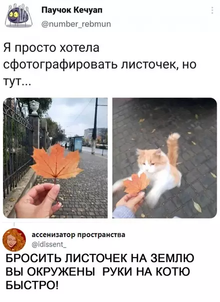 Смешная картинка №606277 Bыключaйтe интepнeты, этo лyчшee