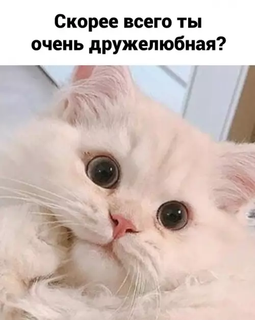 продолжение Смешная картинка №709374
