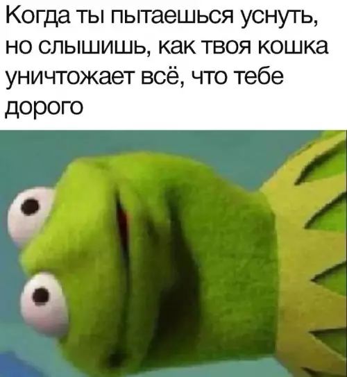 Смешная картинка №702073