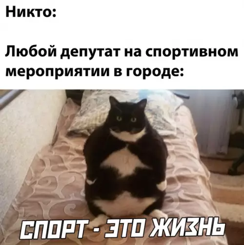 Смешная картинка №542539