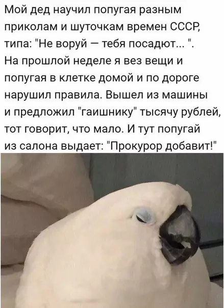 Смешная картинка №493593 Это просто прекрасно.