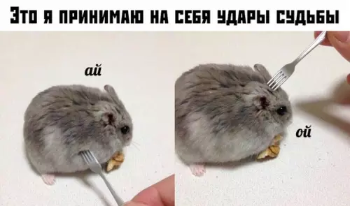Смешная картинка №380703