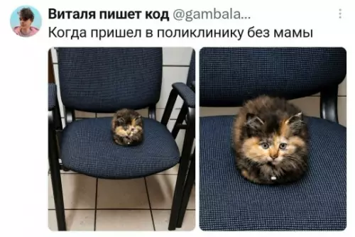 Смешная картинка №822354 Поликлиника