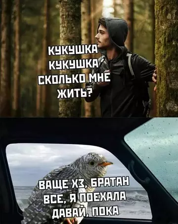 Смешная картинка №747839