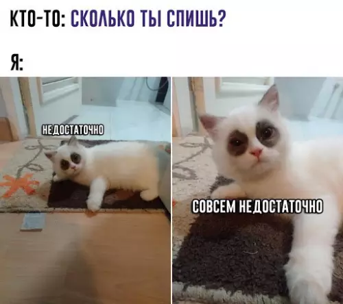 Смешная картинка №665712