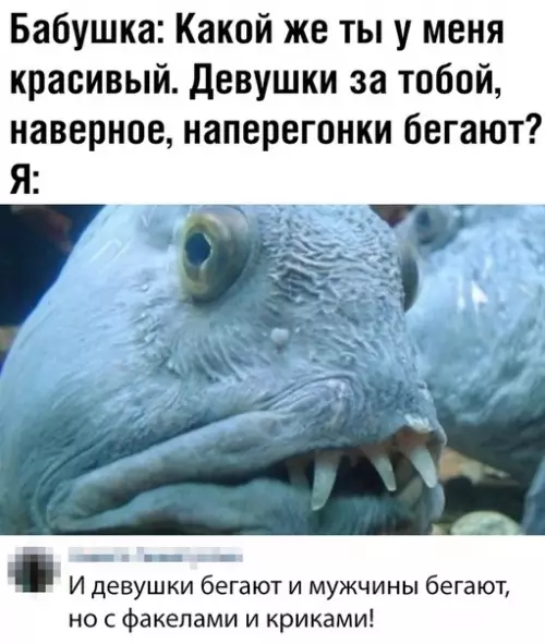 Смешная картинка №376064