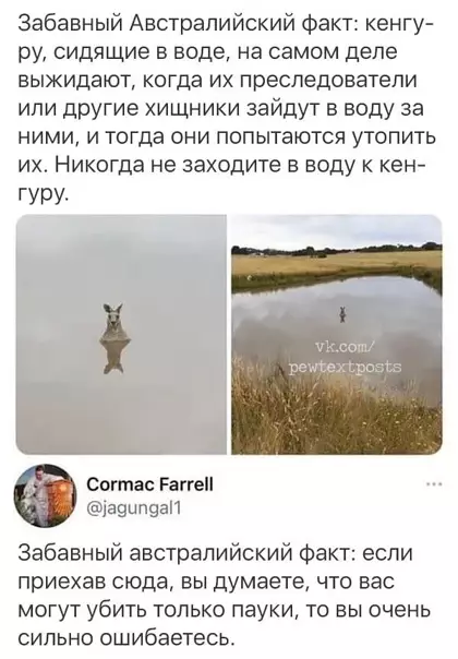 Смешная картинка №546612 Ещё кое-что про Австралию