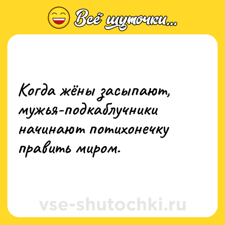 Шутка: Когда жёны засыпают, мужья-подкаблучники начинают потихонечку править миром.