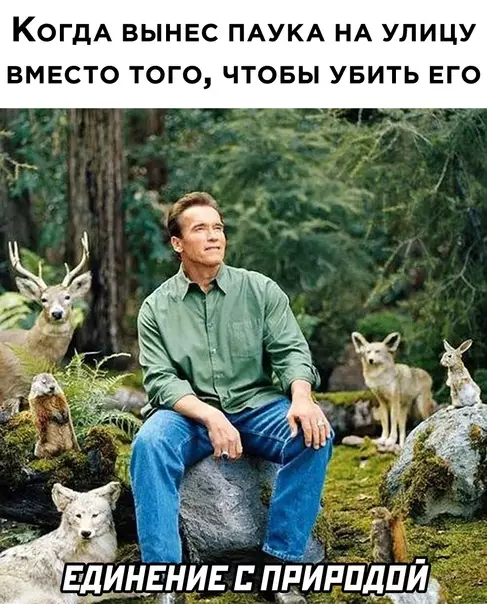 Смешная картинка №592086