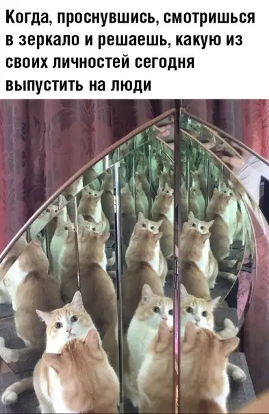 Смешная картинка №361084 Но, как обычно, выпускаешь неуравновешенную