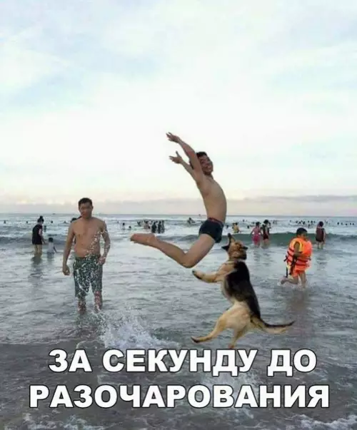 Смешная картинка №201178