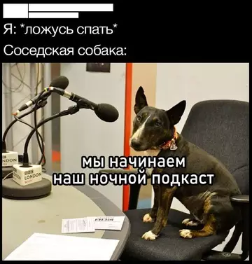 Смешная картинка №756168