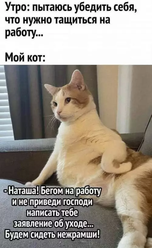 Смешная картинка №765201