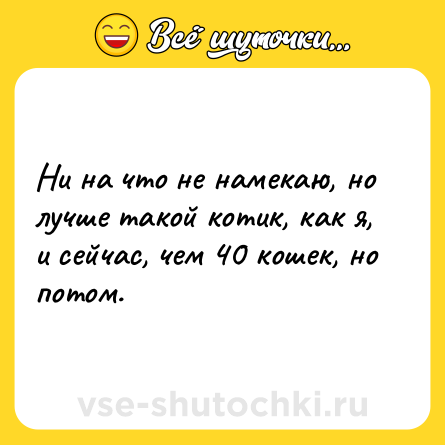 Шутка: Ни на что не намекаю, но лучше такой котик, как я, и сейчас, чем 40 кошек, но потом.