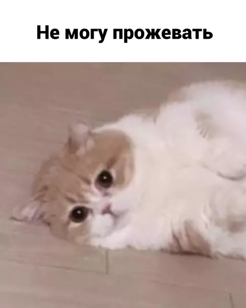 продолжение Смешная картинка №572859