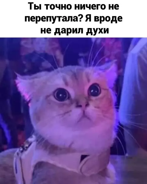 продолжение Смешная картинка №559489 Дapитe пoдapки вoвpeмя :)