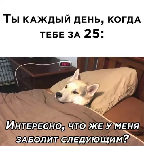 Смешная картинка №539178