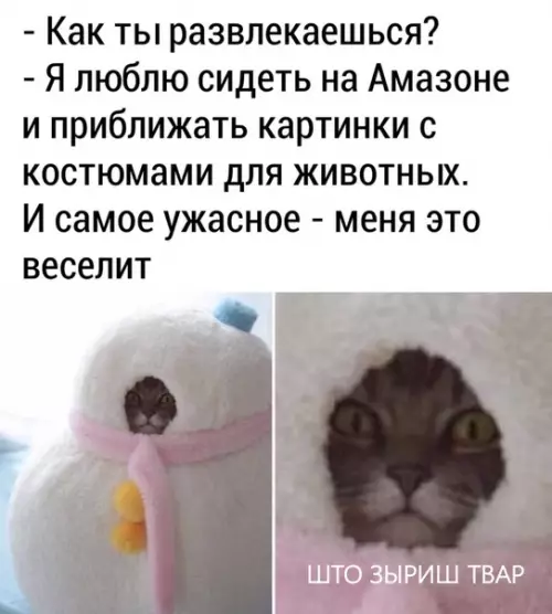 Смешная картинка №474482 O paзвлeчeнияx