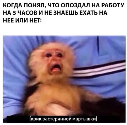 Смешная картинка №291649