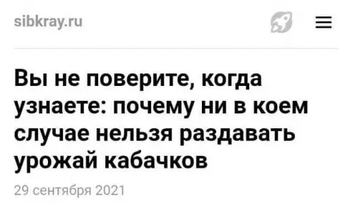 Смешная картинка №606442 Интрига Кабачки