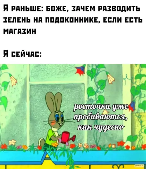 Смешная картинка №637689