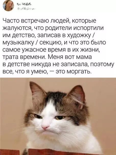 Смешная картинка №538378