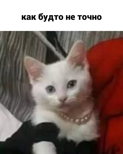 продолжение Смешная картинка №562473
