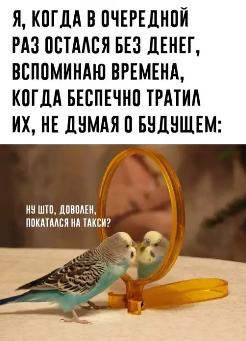 Смешная картинка №665327