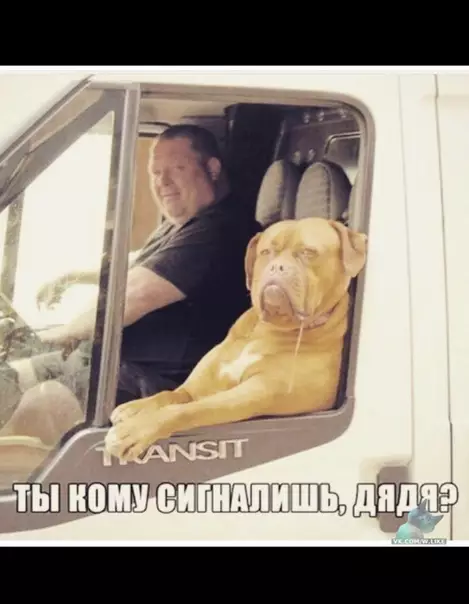 Смешная картинка №337111