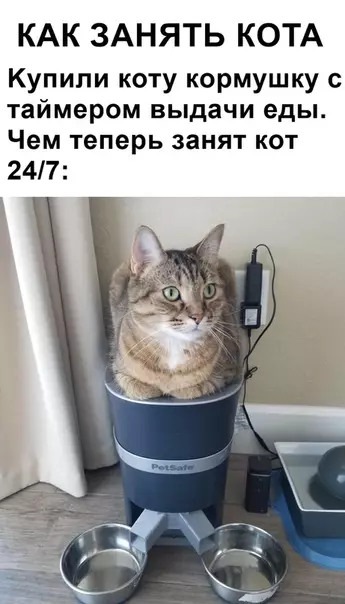 Смешная картинка №365603