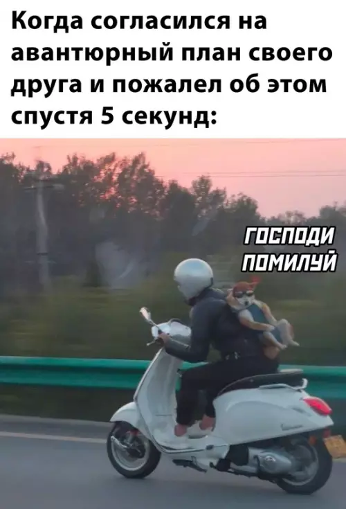 Смешная картинка №678873