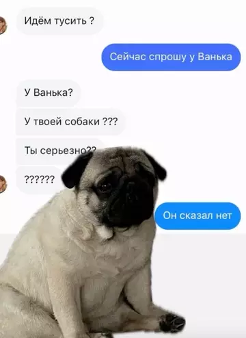 Смешная картинка №754628 Ну, если Ванёк сказал...