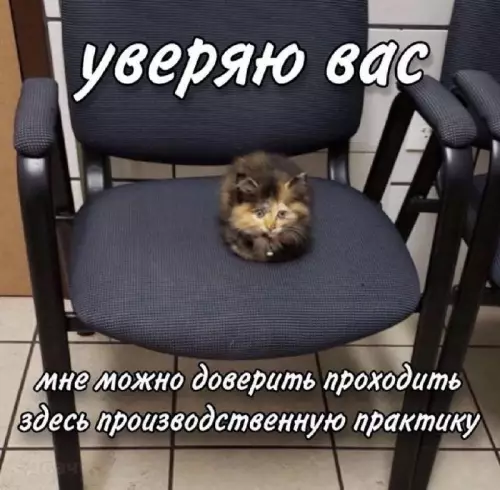 Смешная картинка №731351 Все умеет