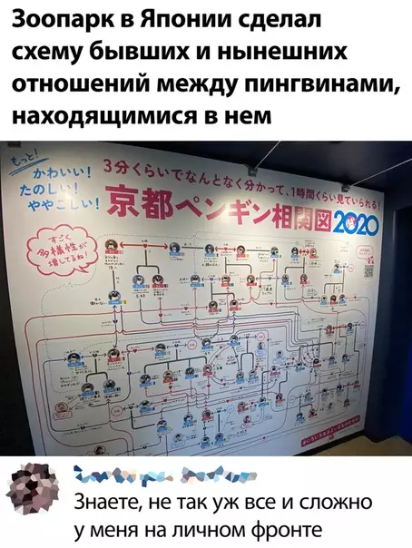 Смешная картинка №505065