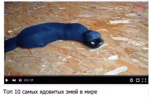 Смешная картинка №205235