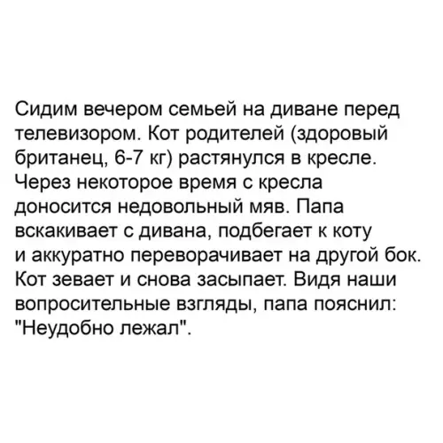 Смешная картинка №373531