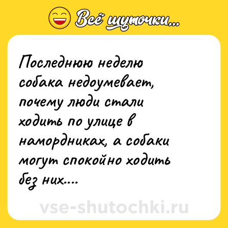 Шутка: Последнюю неделю собака недоумевает, почему люди стали ходить по улице в намордниках, а собаки могут спокойно ходить без них....