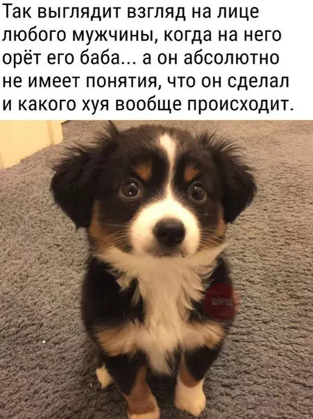 Смешная картинка №258589