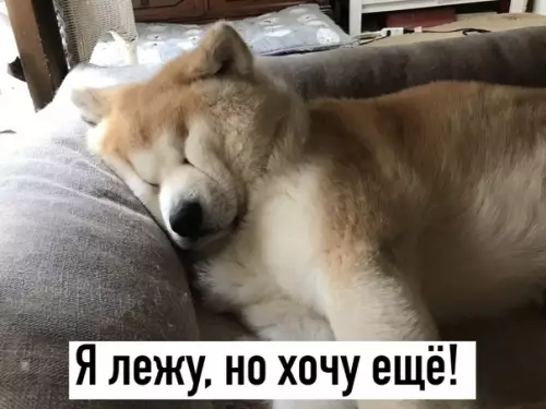 Смешная картинка №485975
