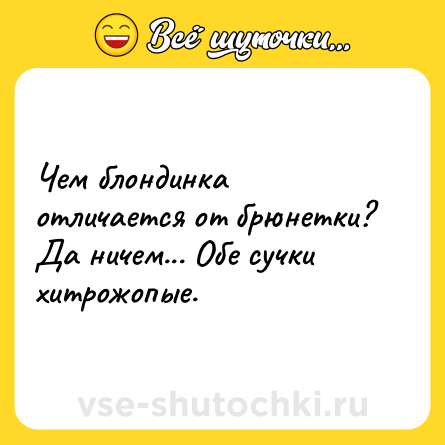 Шутка: Чем блондинка отличается от брюнетки? Да ничем... Обе сучки хитрожопые.
