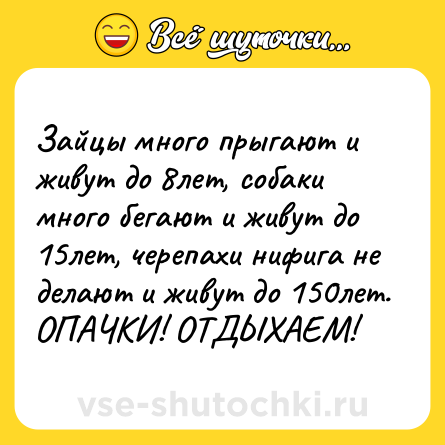Шутка: Зайцы много прыгают и живут до 8лет, собаки много бегают и живут до 15лет, черепахи нифига не делают и живут до 150лет. ОПАЧКИ! ОТДЫХАЕМ!
