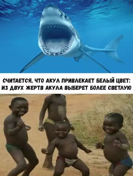 Смешная картинка №260337