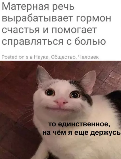 Смешная картинка №734132