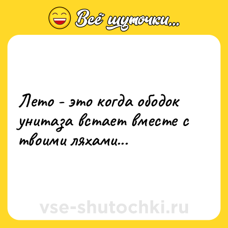 Шутка: Лето - это когда ободок унитаза встает вместе с твоими ляхами...