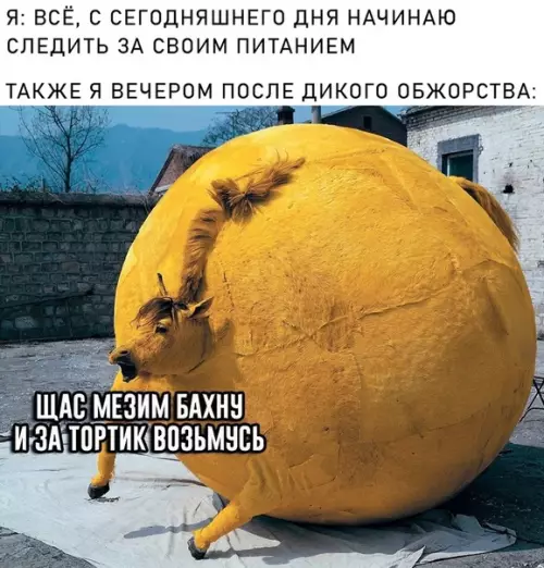 Смешная картинка №475822 Но сначала салатик доем