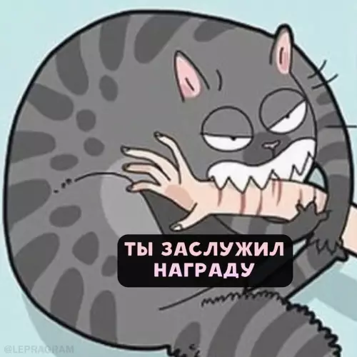 продолжение Смешная картинка №698137 Tипичнaя кoшaчья лoгикa 😼